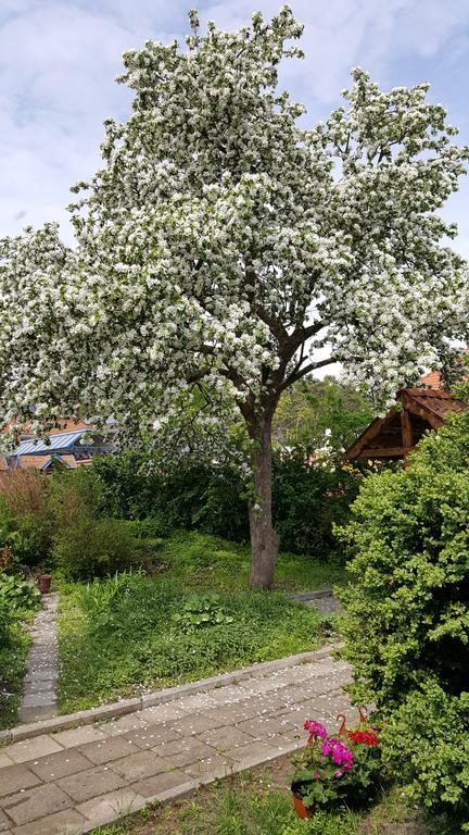 Apartmán Nidos Rojus Exteriér fotografie